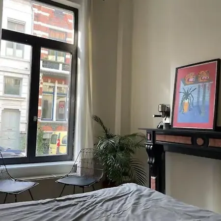 Gezellig Gerenoveerd Herenhuis In Het Centrum Holiday home Antwerp