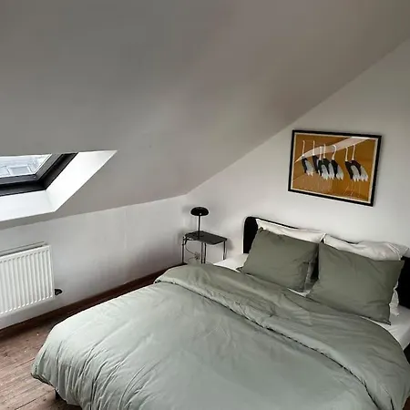Gezellig Gerenoveerd Herenhuis In Het Centrum Holiday home