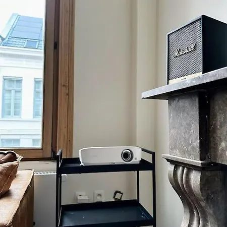 Gezellig Gerenoveerd Herenhuis In Het Centrum