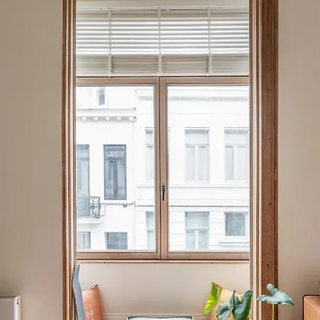 Gezellig Gerenoveerd Herenhuis In Het Centrum Antwerp